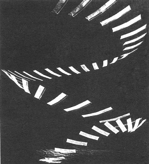Imagem extraída do livro The International Paper Airplane Book de Jarry Mander, George Dippel e Howard Gossage